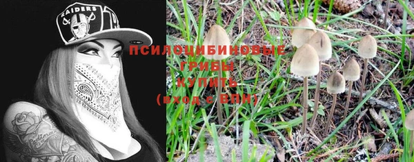 скорость Алексеевка