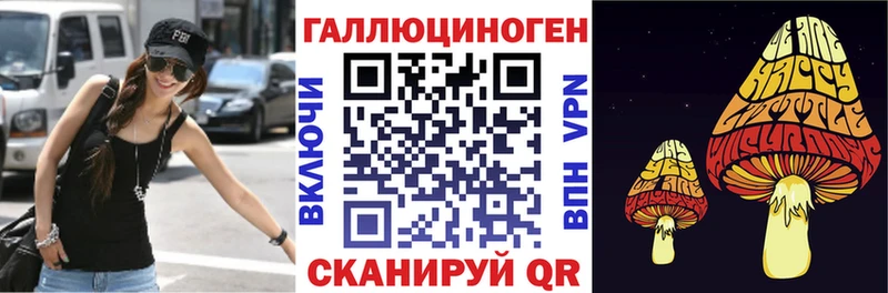 omg tor  Ревда  Псилоцибиновые грибы Psilocybine cubensis 